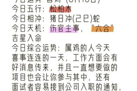 属鸡回窝的命运解析：揭示命理中的秘密与启示