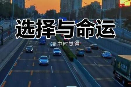 命运与选择：探讨人生的必然与偶然