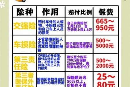 属猴的金命，适合的汽车选择与购买指南！如何找到最适合你的人生伴侣？