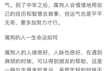 属狗17岁命运分析：运势如何，未来展望！