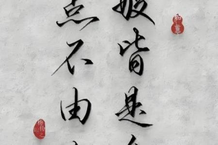 从“乃命以位”看人生的选择与责任