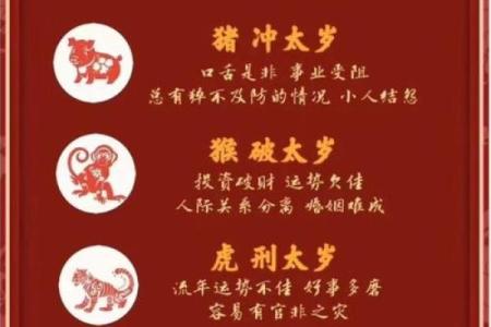 了解命格与冲太岁：如何化解岁运的影响与困扰