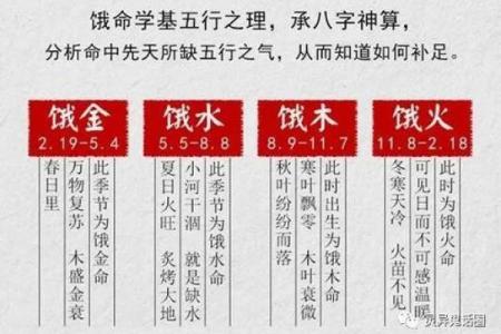 男人金命与何命最为相配？全面解析命理关系！