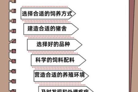 属羊猪拱槽：探秘其独特命理与生活方式