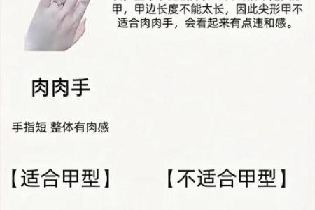 手指形态揭秘：细下胖的命运与性格解析