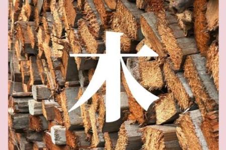 木命人与最佳命理配对：寻觅心灵契合的伴侣之道