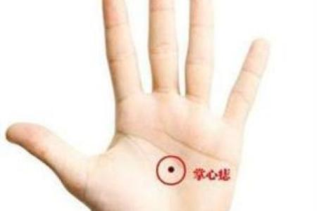 人中龙凤：解读命格与人生轨迹的深刻联系