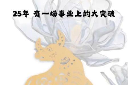 年金牛之命：稳健与富贵的象征，如何走出一条光明的道路？