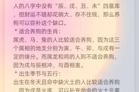 命中注定：生辰八字与性格命运的奇妙联系