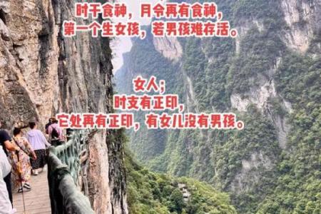 命运之谜：人生的命究竟意味着什么？