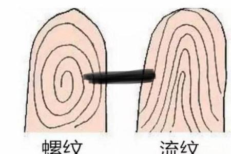 手指上的十个簸箕：揭示命男的独特命运与性格特征