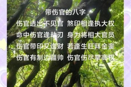 命理学中的“最惨命格”：你了解吗？