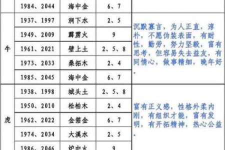 如何通过命格分析实现人生理想与事业成功