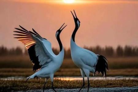 女命凡夫之命：探寻平凡人生的女性智慧与力量