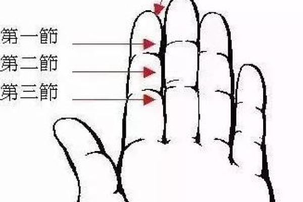 手指形态解析:下粗上细的命运之谜 手指形态解析:下粗上细的命运之谜