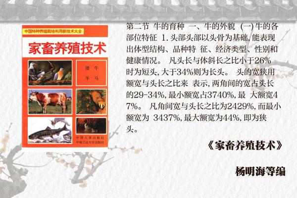 属牛农历28生的命运解析：坚韧不拔的草原勇士