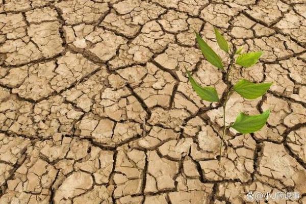 缺水的命:如何在干旱现实中找到生存之道 缺水的命:如何在干旱现实中找到生存之道