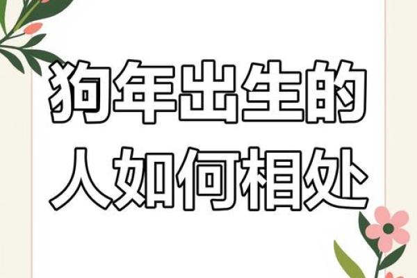 属狗八月初五出生的人命理解析与性格特征
