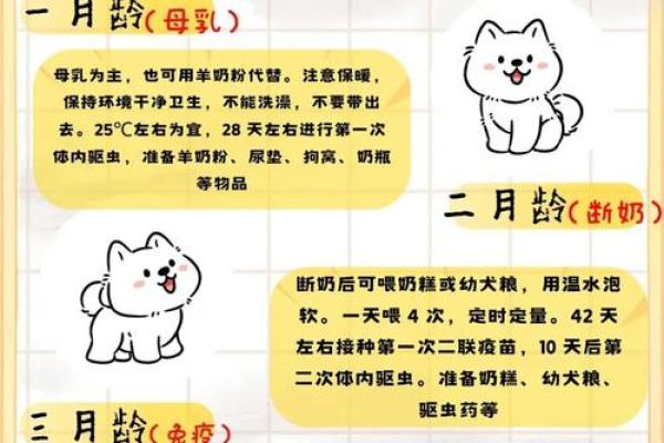 属狗牛进食时辰解析：如何合理安排饮食以促进健康生活