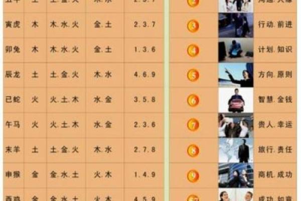 男土命与女木命,适合生什么命的孩子? 男土命与女木命,适合生什么命的孩子?