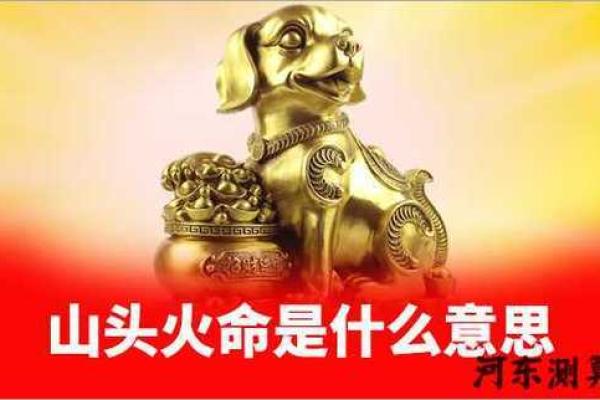 山头火命与最佳配命的完美结合探讨