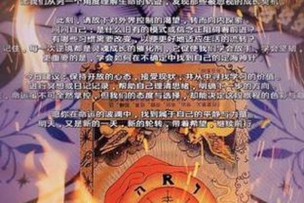 十三年生九个孩子：追寻命运的奥秘与成长的旅程