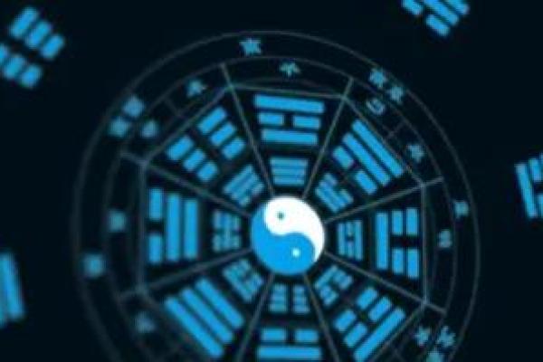 十三年生九个孩子：追寻命运的奥秘与成长的旅程