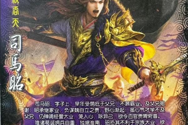 三国杀名将传：无尽策略与命格选择的魅力