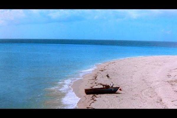 《一刀一命：探索生死之间的抉择与救赎》