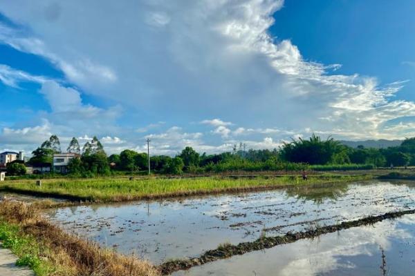 农村为何重视女儿的出生：传承与希望的结合