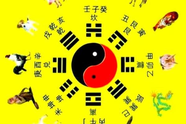 如何根据出生年份了解自己的命理属性，助你找到人生方向！