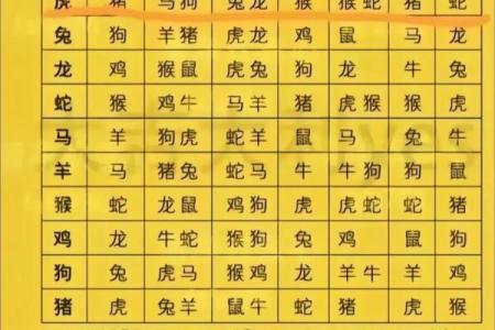 什么属相、命理最旺？探秘人生的最佳组合！