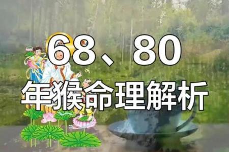 1968年属猴的人命理分析及人生启示