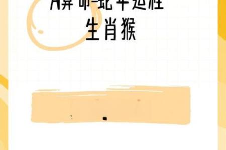 属猴1992的命运解析：智慧与机遇并存的生活旅程