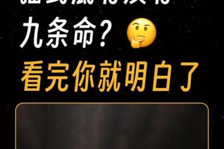 如果人有九条命，我们会如何生活？探索九命人生的奇妙旅程！