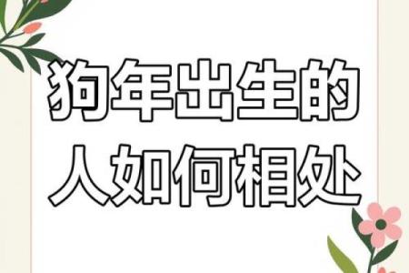 属狗八月初五出生的人命理解析与性格特征