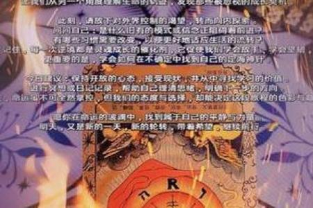 十三年生九个孩子：追寻命运的奥秘与成长的旅程