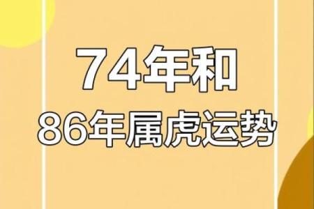属虎八月出生的人命运解析：力量与智慧的完美结合
