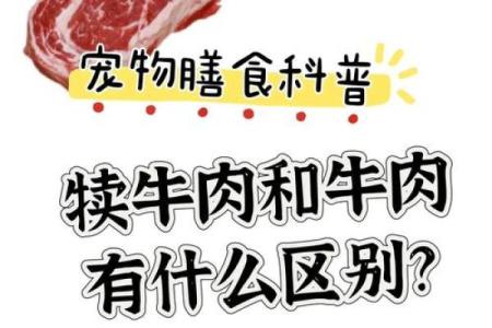 属狗女孩牛进食：命理与饮食的奇妙关系