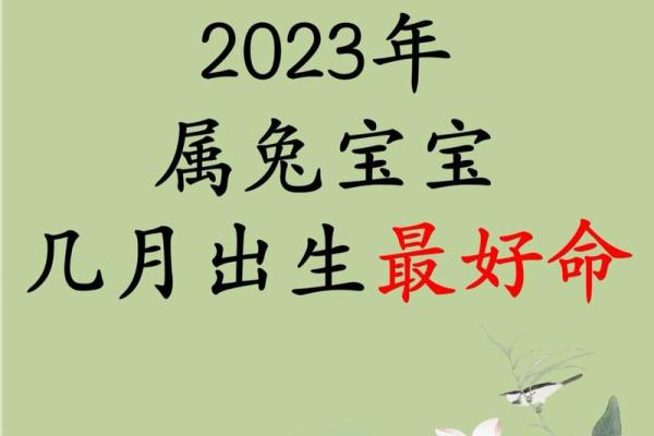 属兔女性怎么选择最佳命运，让人生更精彩！