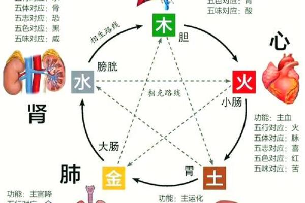 缺水命与其他命格的相生相克之道