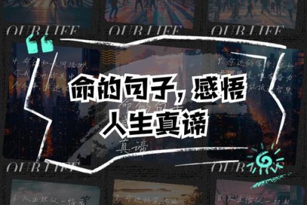 命运掌握在自己手中，追寻人生真谛的旅程