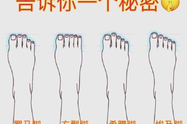 脚型与命运：你不知道的秘密解析