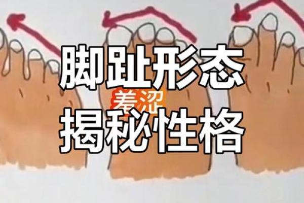 脚型与命运：你不知道的秘密解析