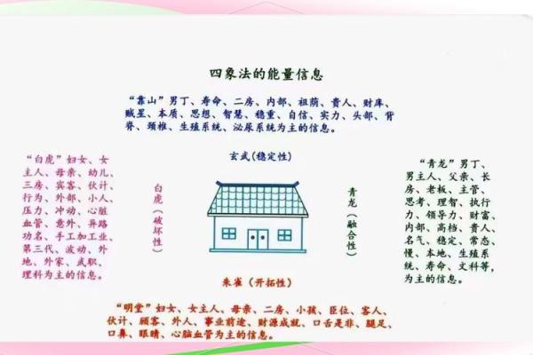 揭示大老板命运的吉利数字与风水奥秘