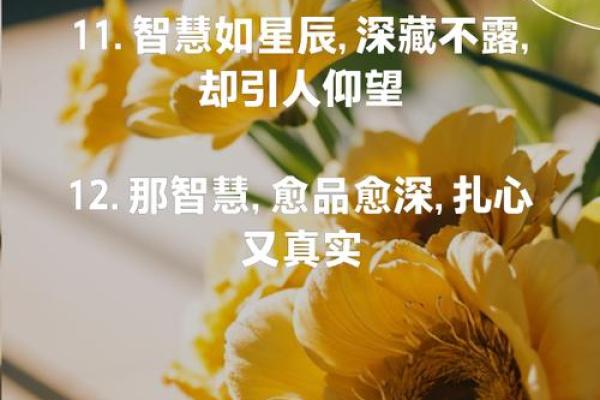 深藏于命中的智慧:女命以弱为奇的独特解读 深藏于命中的智慧:女命以弱为奇的独特解读