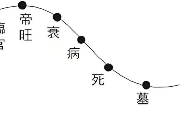 女命夫君早克：命理深探与人生启示