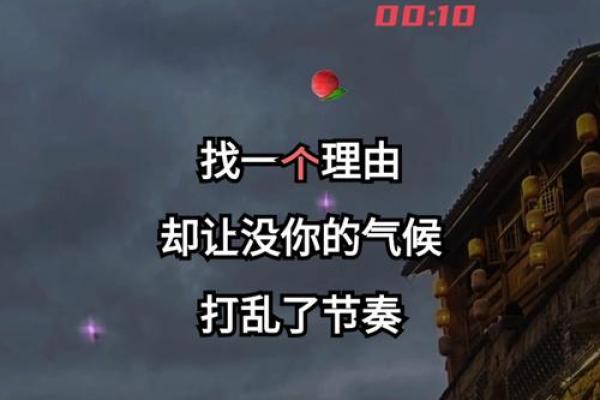 《拼了命想念你》——倾诉心中无尽思念的歌声