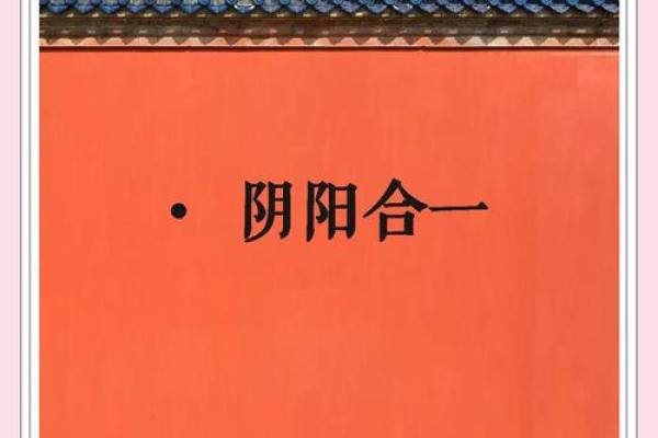 解读“阴家之命”：命运与选择的哲学思考