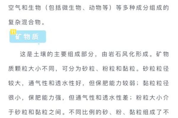 如何识别土命物品？探寻大地之灵的神秘力量